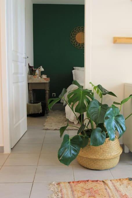 Cosy Appartement Entre Vignes Et Garrigue Avec Piscine Peret Luaran gambar